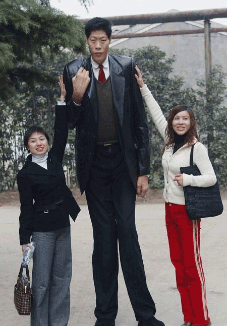 [Image: tallest-man.gif]